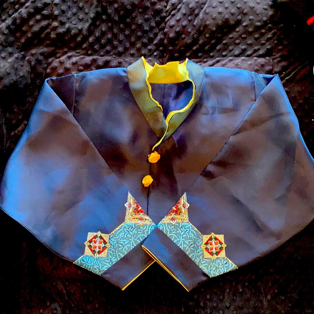 Korean? Asian crop top with beautiful embroidered sleeves